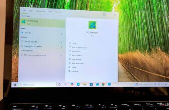 3 apps that ought to be pre-installed on each Home windows 11 laptop